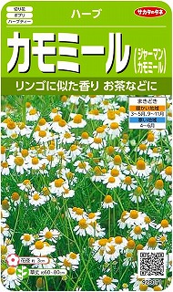 カモミール